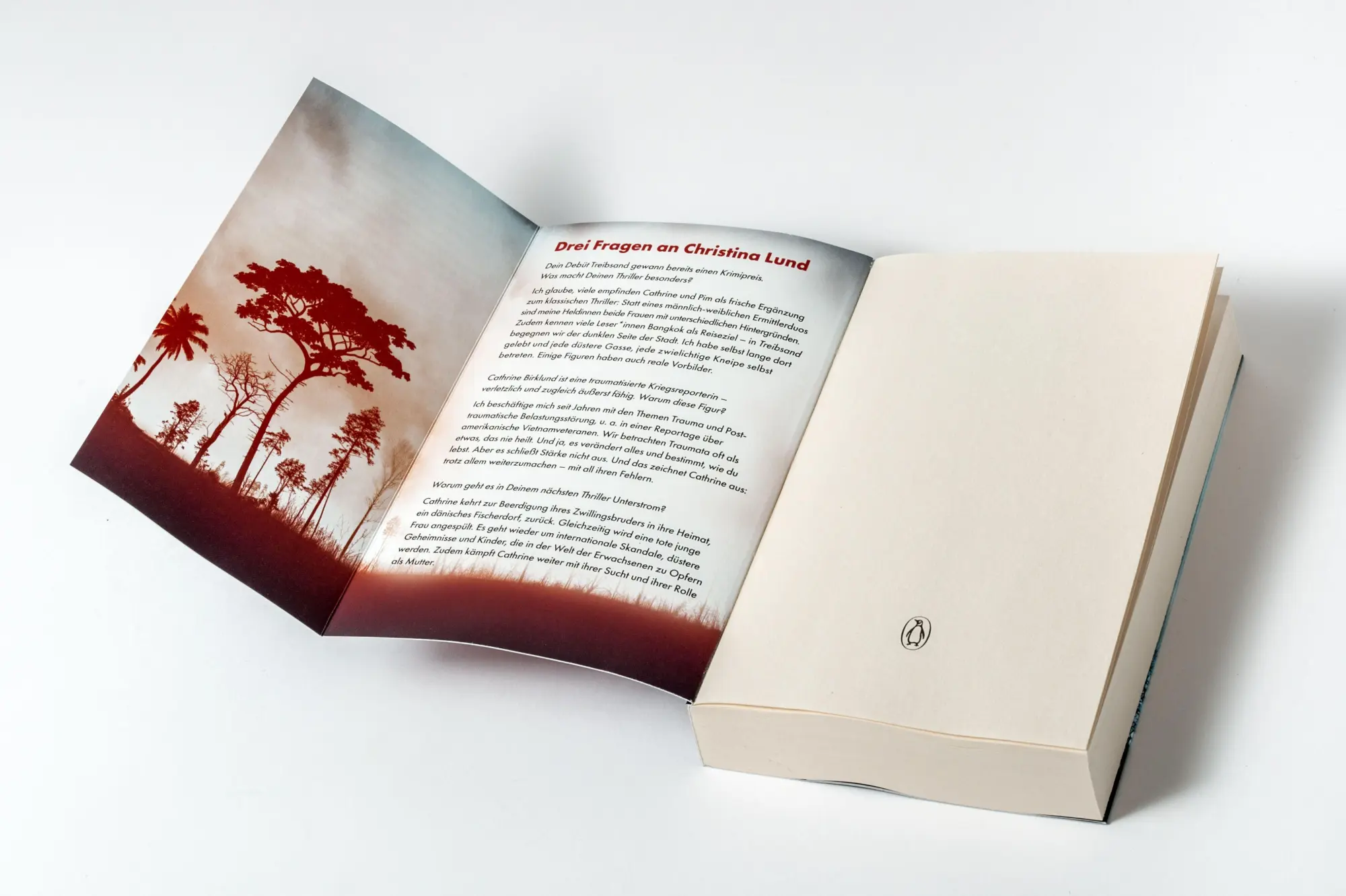 Bild: 9783328114314 | Treibsand | Christina Lund | Taschenbuch | Die Cathrine-Birklund-Reihe