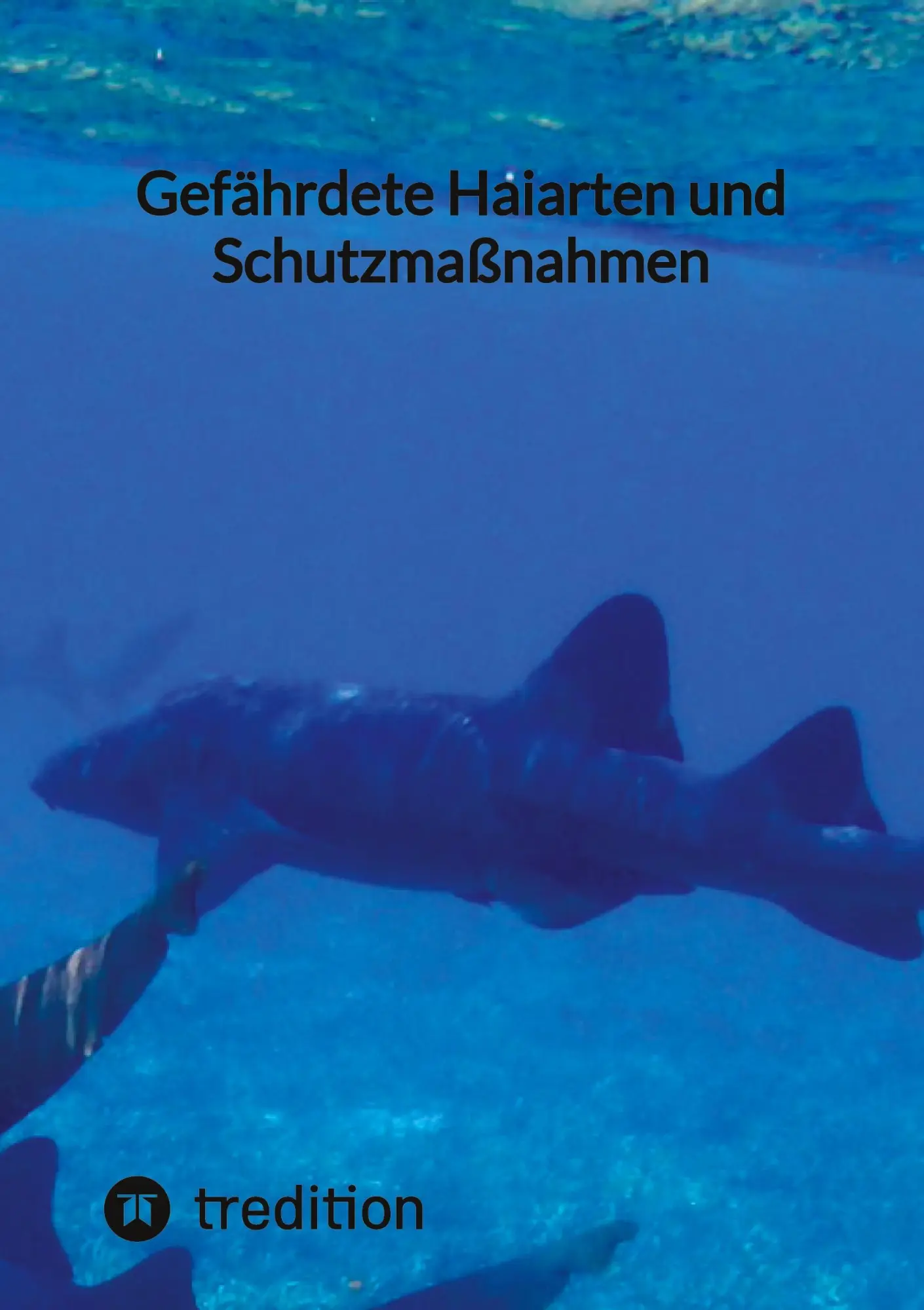 Cover: 9783347854314 | Gefährdete Haiarten und Schutzmaßnahmen | Moritz | Taschenbuch | 68 S.