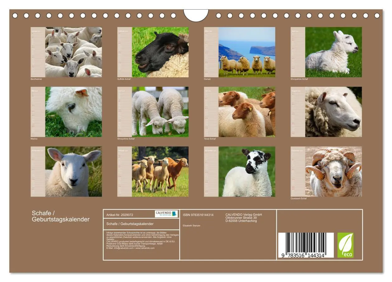 Bild: 9783516144314 | Schafe / Geburtstagskalender (Wandkalender 2026 DIN A4 quer),...