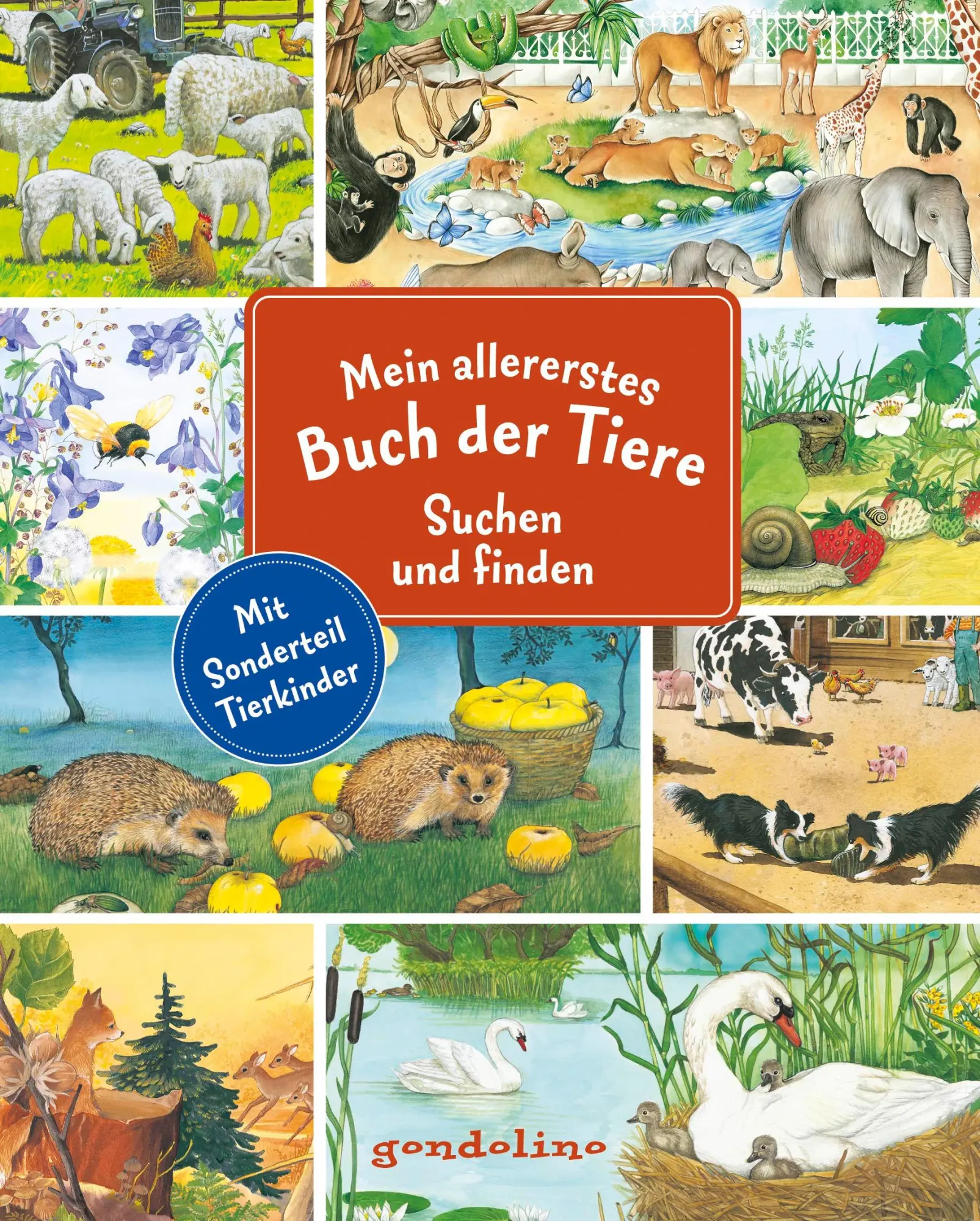 Cover: 9783811234314 | Mein allererstes Buch der Tiere - Suchen und finden | Rooobert Bayer