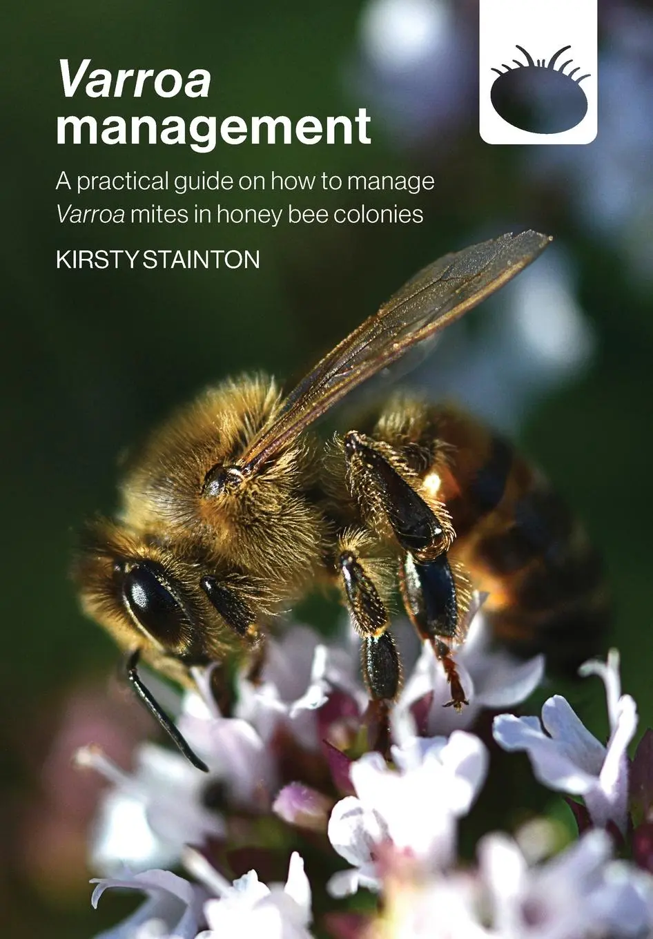 Cover: 9781914934414 | Varroa management | Kirsty Stainton | Taschenbuch | Englisch | 2022