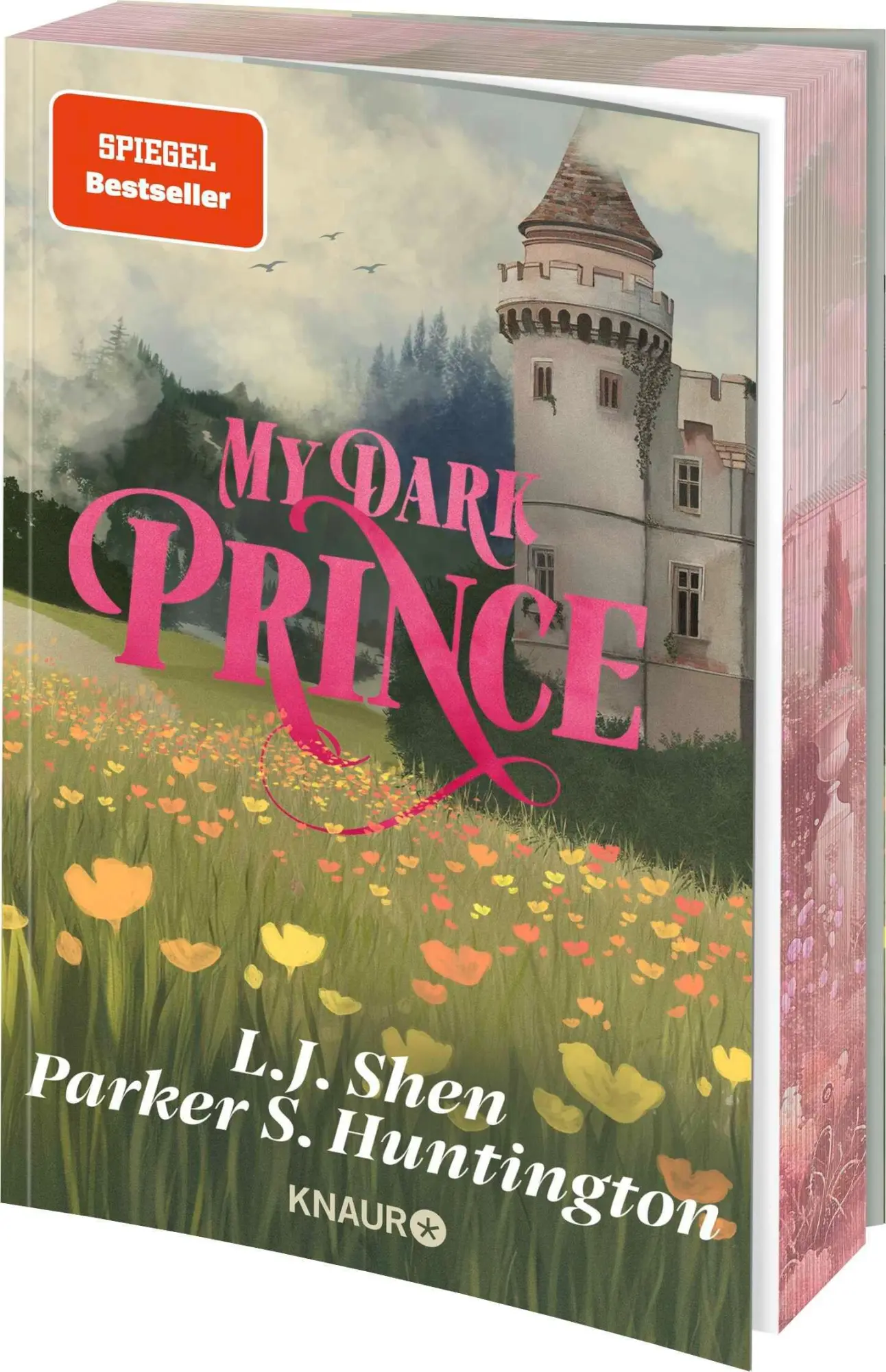 Cover: 9783426284414 | My Dark Prince | L. J. Shen (u. a.) | Taschenbuch | Dark Prince Road