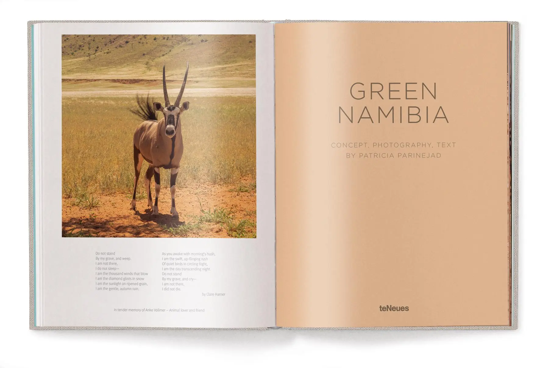 Bild: 9783961714414 | Green Namibia | Patricia Parinejad | Buch | 240 S. | Deutsch | 2023