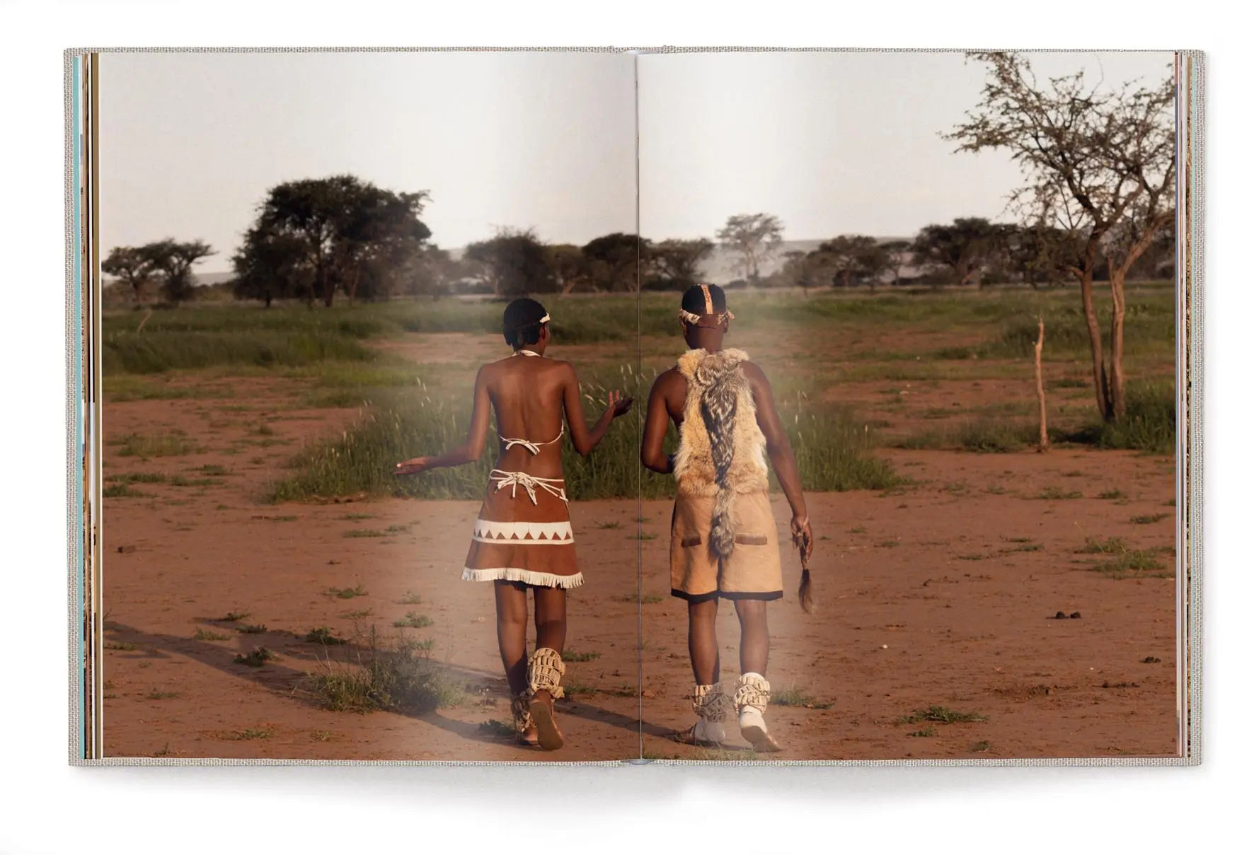 Bild: 9783961714414 | Green Namibia | Patricia Parinejad | Buch | 240 S. | Deutsch | 2023
