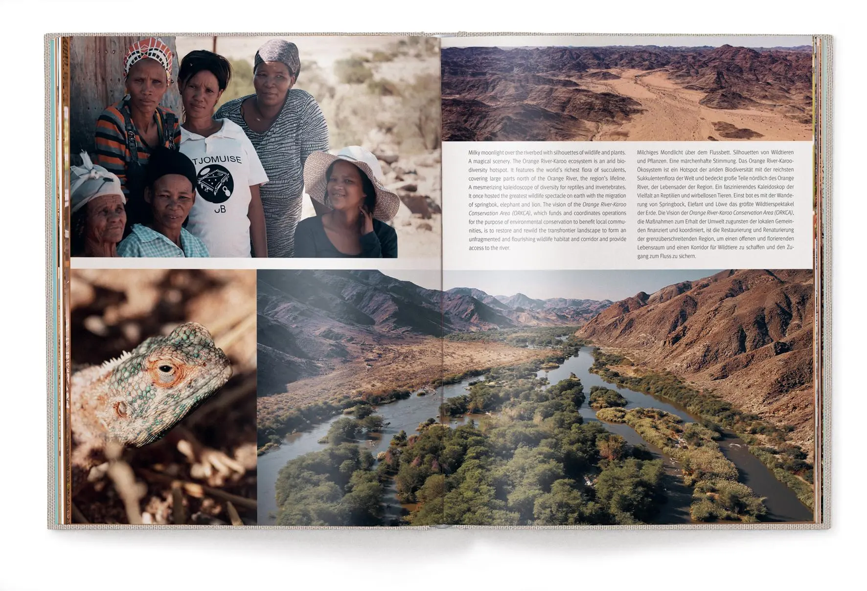 Bild: 9783961714414 | Green Namibia | Patricia Parinejad | Buch | 240 S. | Deutsch | 2023