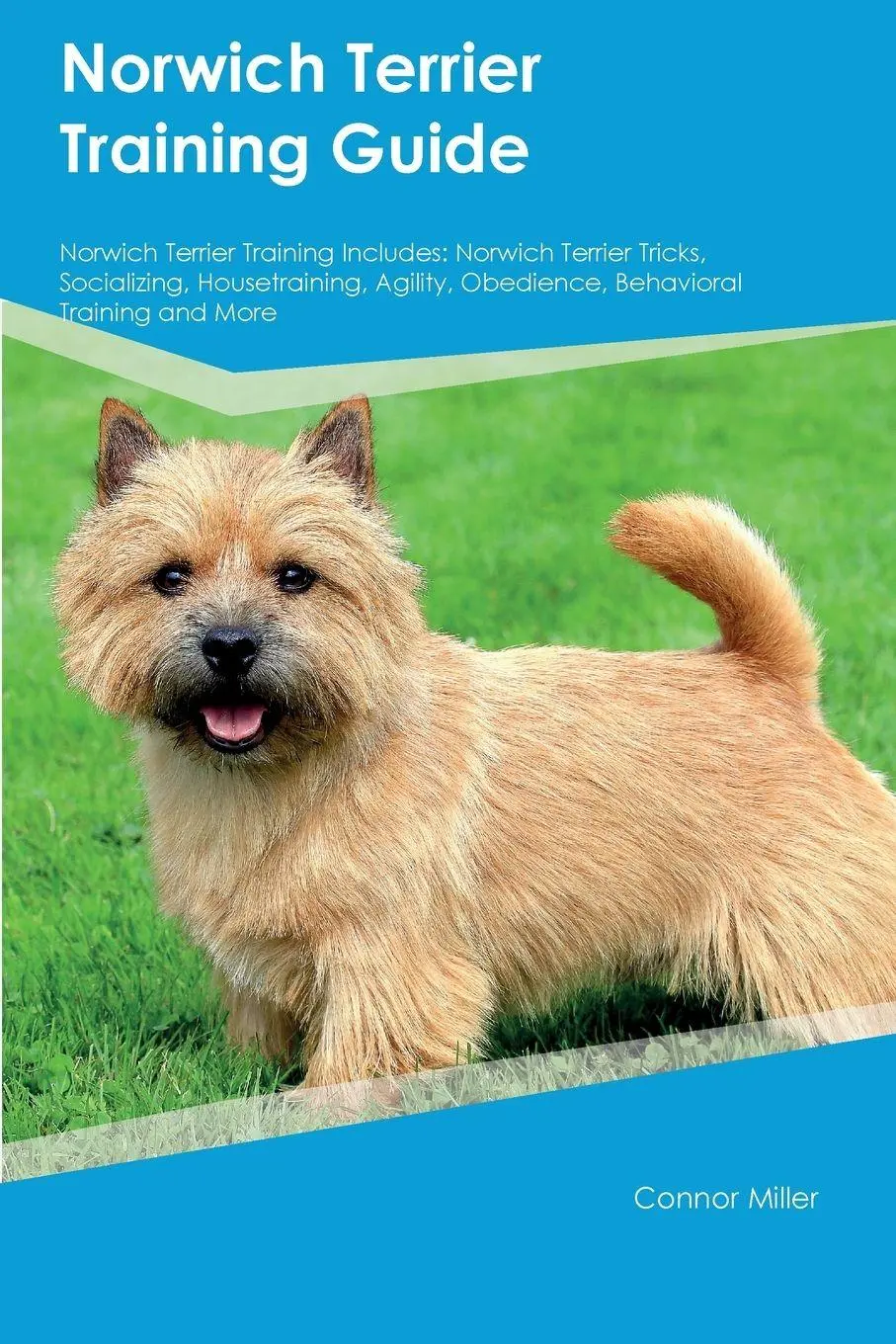 Cover: 9781395864514 | Norwich Terrier Training Guide Norwich Terrier Training Includes