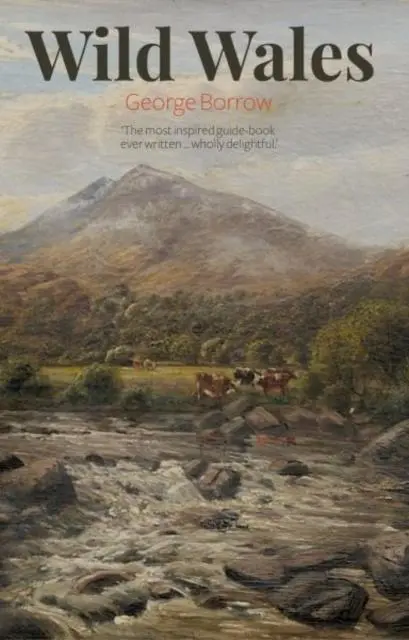 Cover: 9781845244514 | Wild Wales | George Borrow | Taschenbuch | Kartoniert / Broschiert