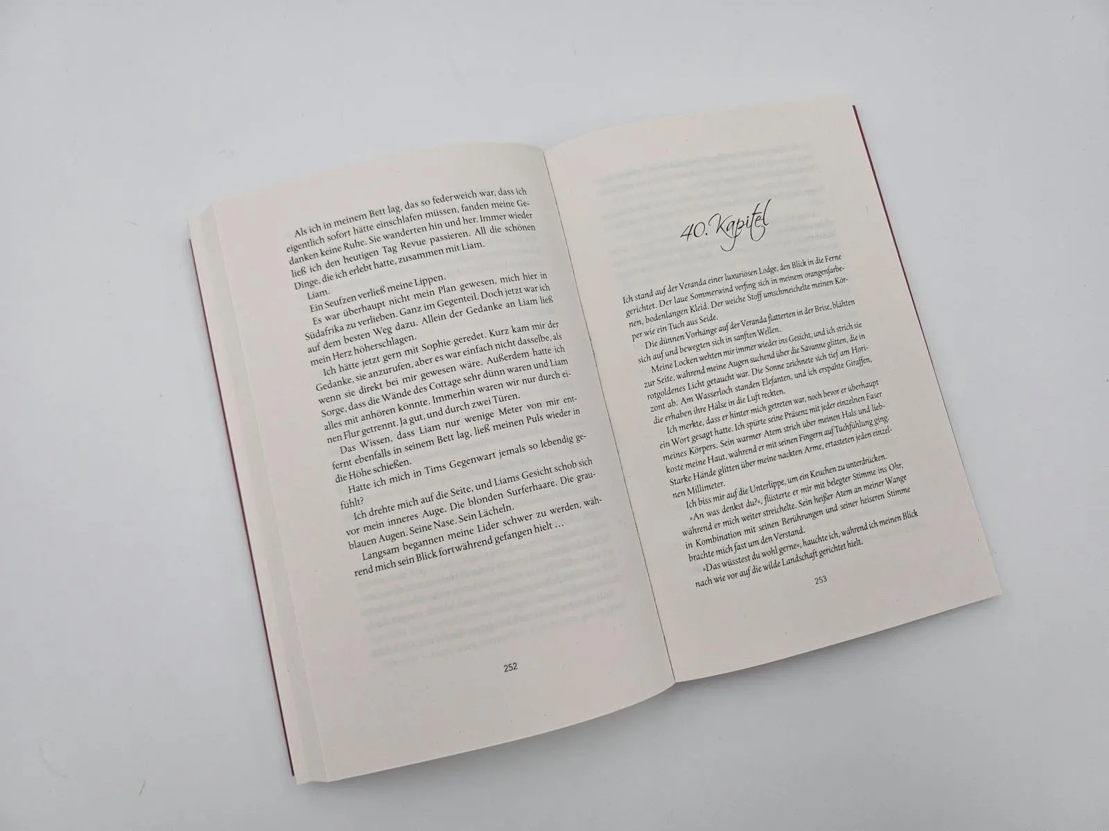 Bild: 9783492064514 | A Touch of Wilderness | Mareike Allnoch | Taschenbuch | 352 S. | 2024
