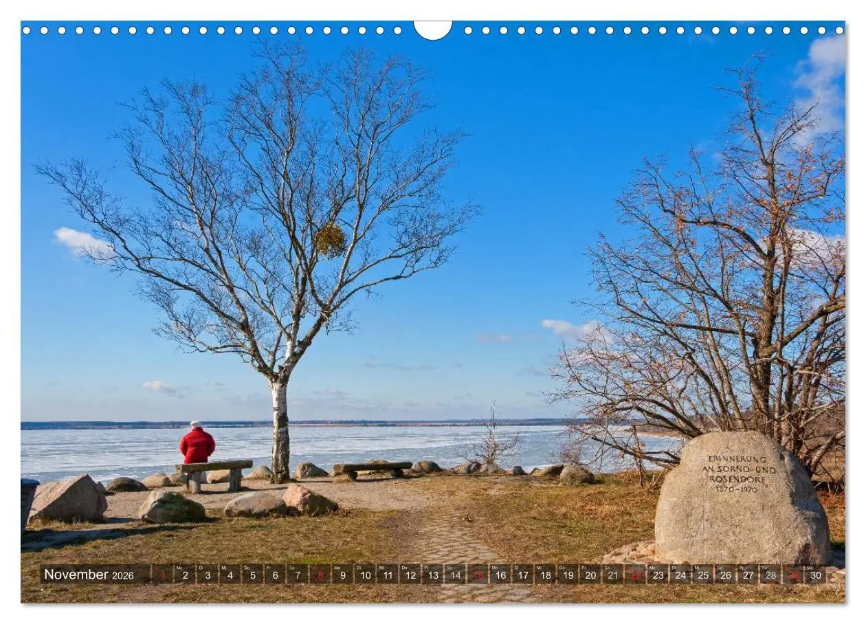 Bild: 9783516054514 | Seenland in der Lausitz (Wandkalender 2026 DIN A3 quer), CALVENDO...