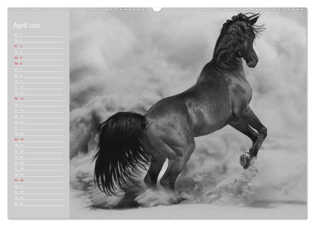 Bild: 9783516124514 | Arabische Pferde (Wandkalender 2026 DIN A2 quer), CALVENDO...
