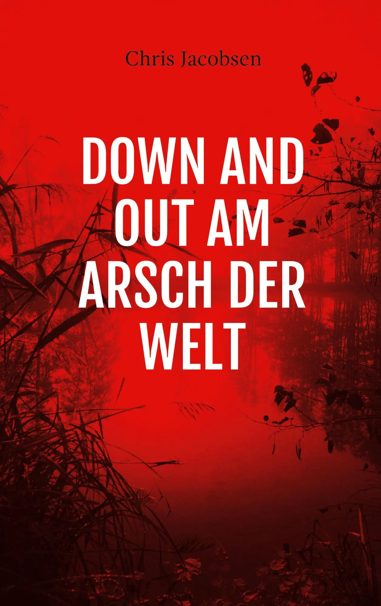 Cover: 9783751984614 | Down and out am Arsch der Welt | Chris Jacobsen | Taschenbuch | 334 S.