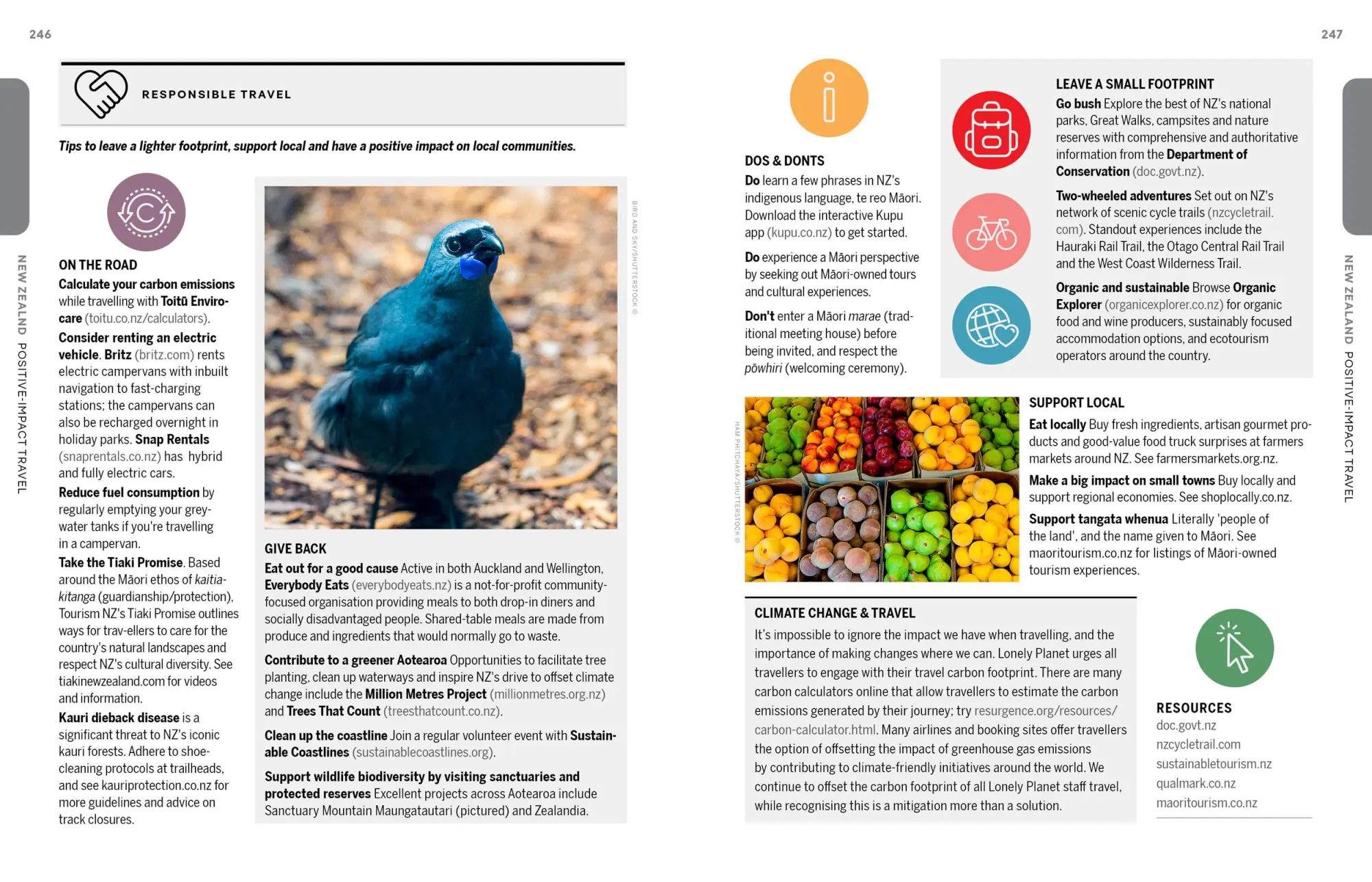 Bild: 9781838694814 | Experience New Zealand | Brett Atkinson | Taschenbuch | Englisch