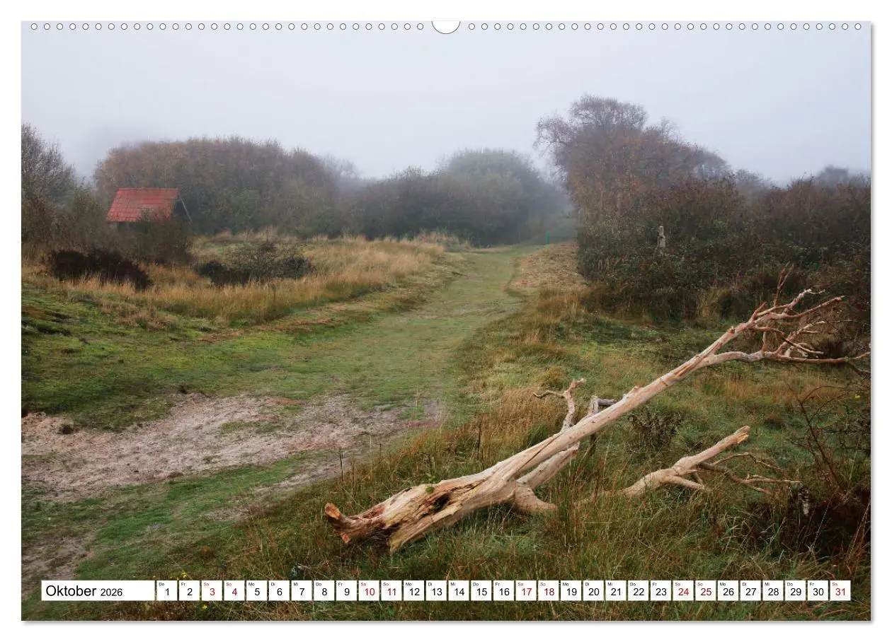Bild: 9783457314814 | Insel Baltrum, Perle im Ostfriesischen Wattenmeer (hochwertiger...