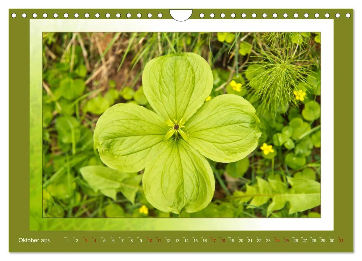 Bild: 9783457864814 | Das vergessene Tal. Schnalstal - Val Senales (Wandkalender 2026 DIN...