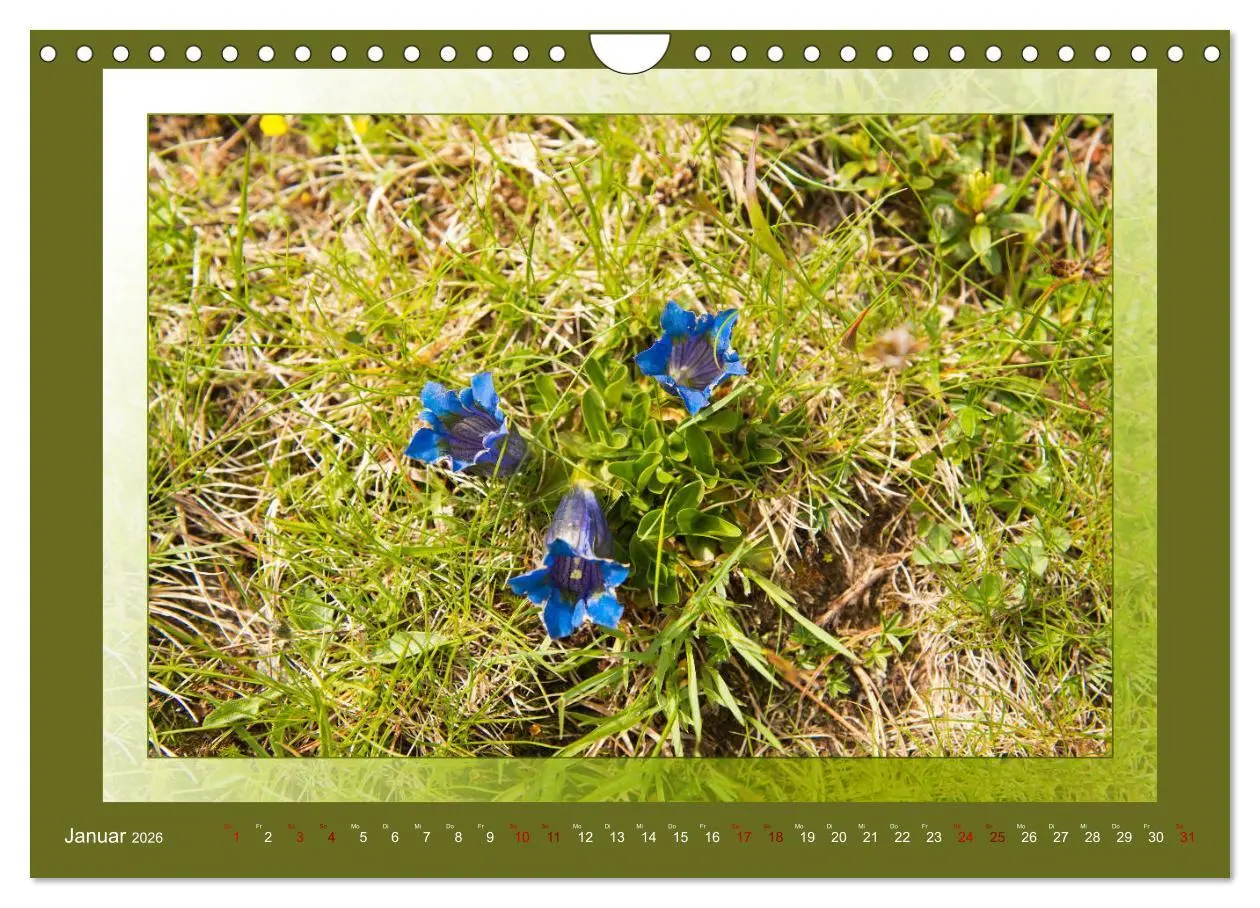 Bild: 9783457864814 | Das vergessene Tal. Schnalstal - Val Senales (Wandkalender 2026 DIN...