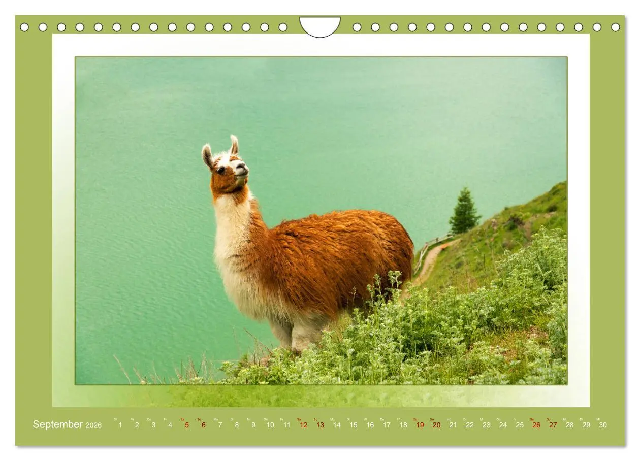 Bild: 9783457864814 | Das vergessene Tal. Schnalstal - Val Senales (Wandkalender 2026 DIN...