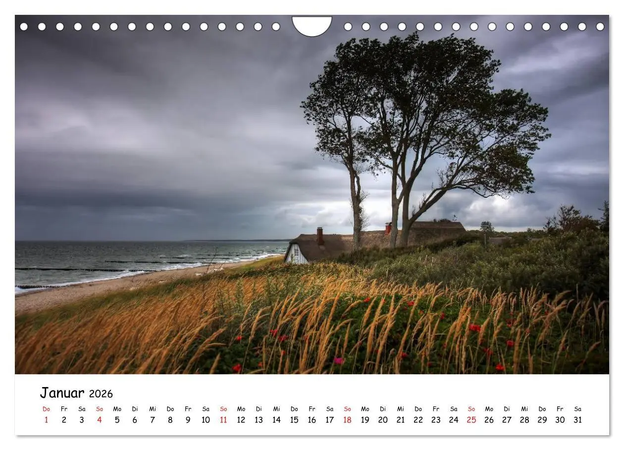 Bild: 9783516024814 | Ostsee Sehnsucht (Wandkalender 2026 DIN A4 quer), CALVENDO...