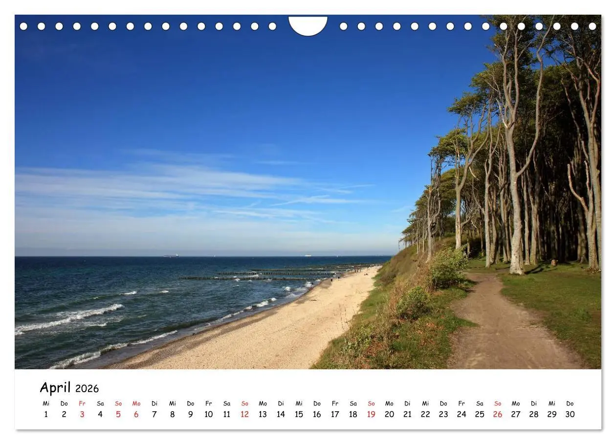 Bild: 9783516024814 | Ostsee Sehnsucht (Wandkalender 2026 DIN A4 quer), CALVENDO...