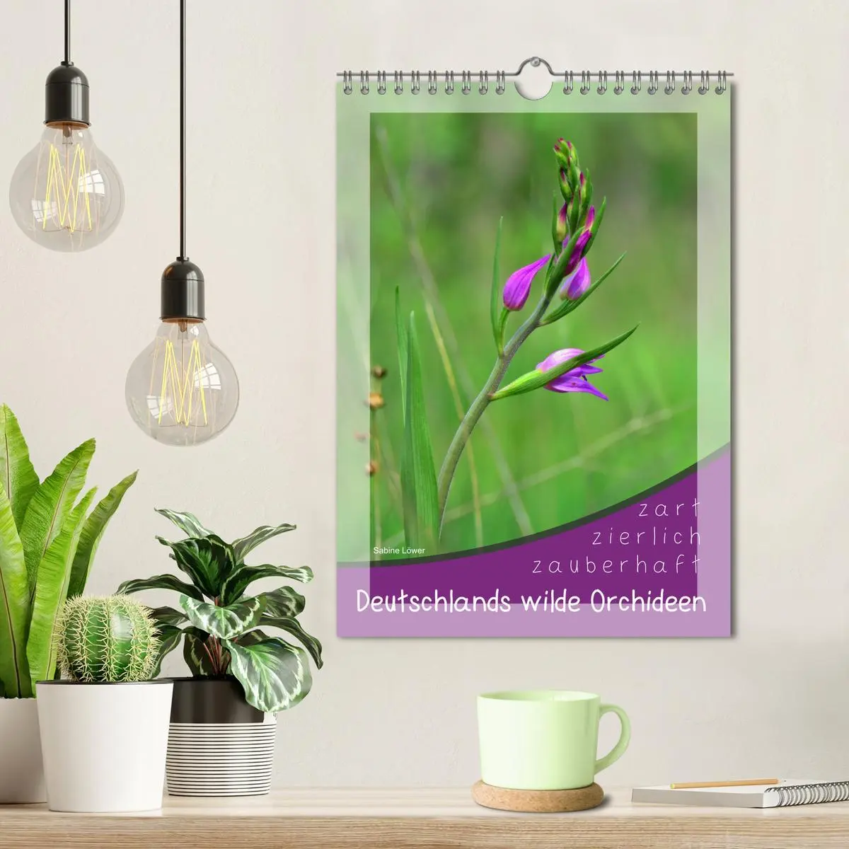 Bild: 9783516404814 | Deutschlands wilde Orchideen (Wandkalender 2026 DIN A4 hoch),...