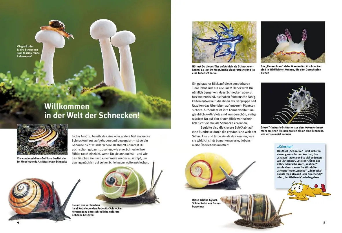 Bild: 9783866594814 | Entdecke die Schnecken | Kriton Kunz | Buch | 64 S. | Deutsch | 2024