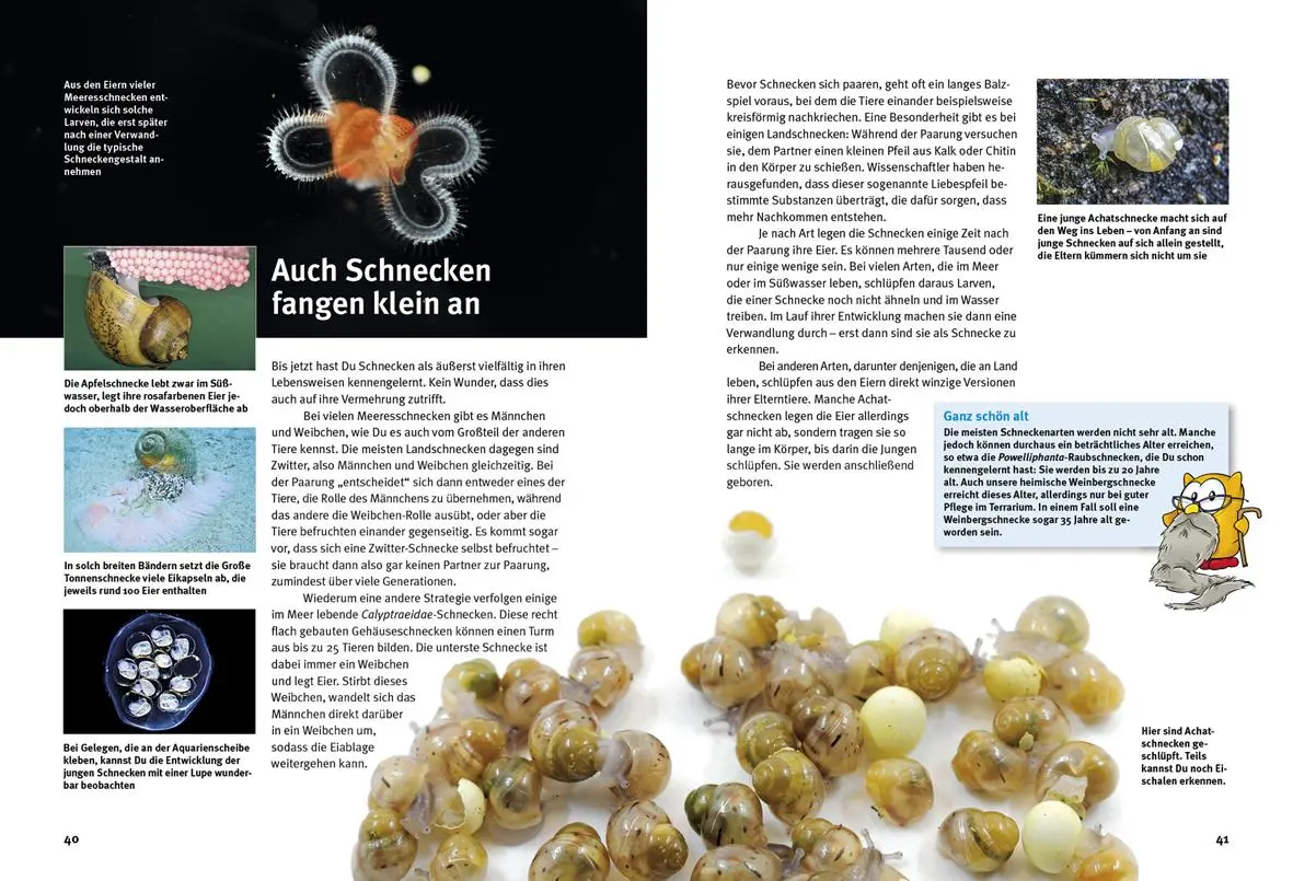 Bild: 9783866594814 | Entdecke die Schnecken | Kriton Kunz | Buch | 64 S. | Deutsch | 2024