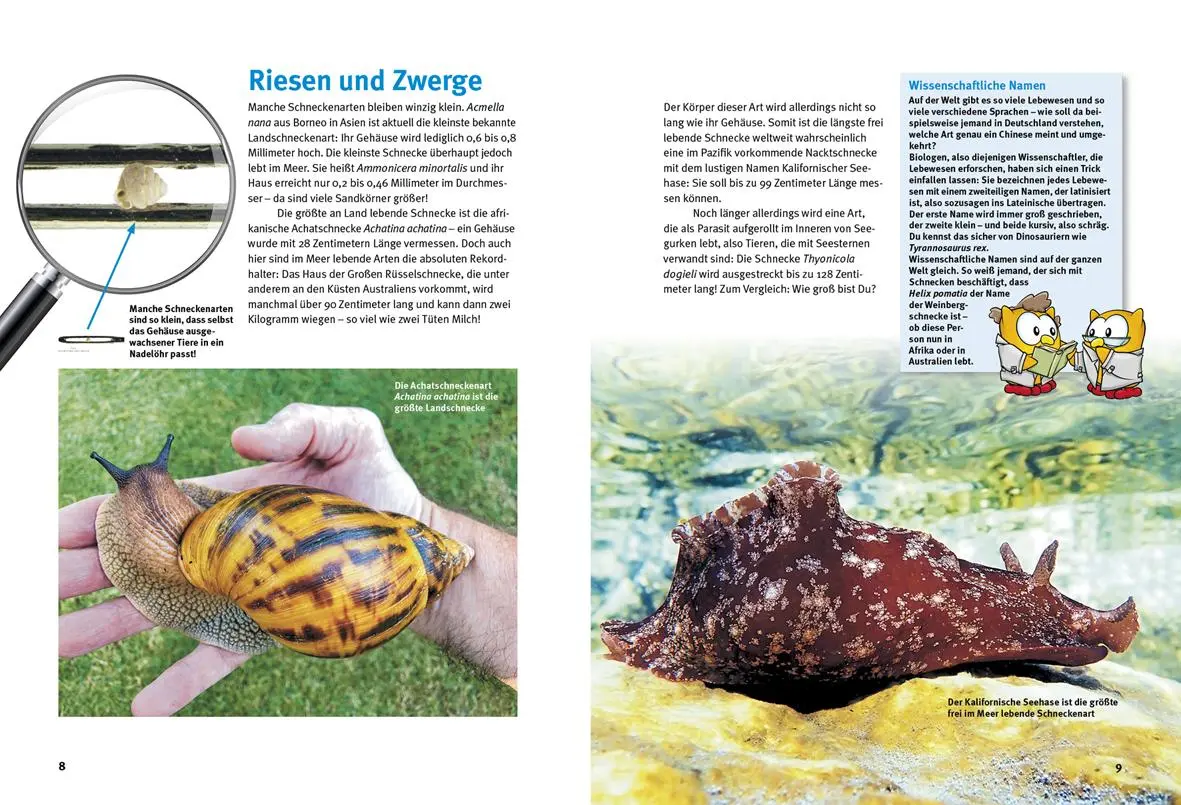 Bild: 9783866594814 | Entdecke die Schnecken | Kriton Kunz | Buch | 64 S. | Deutsch | 2024