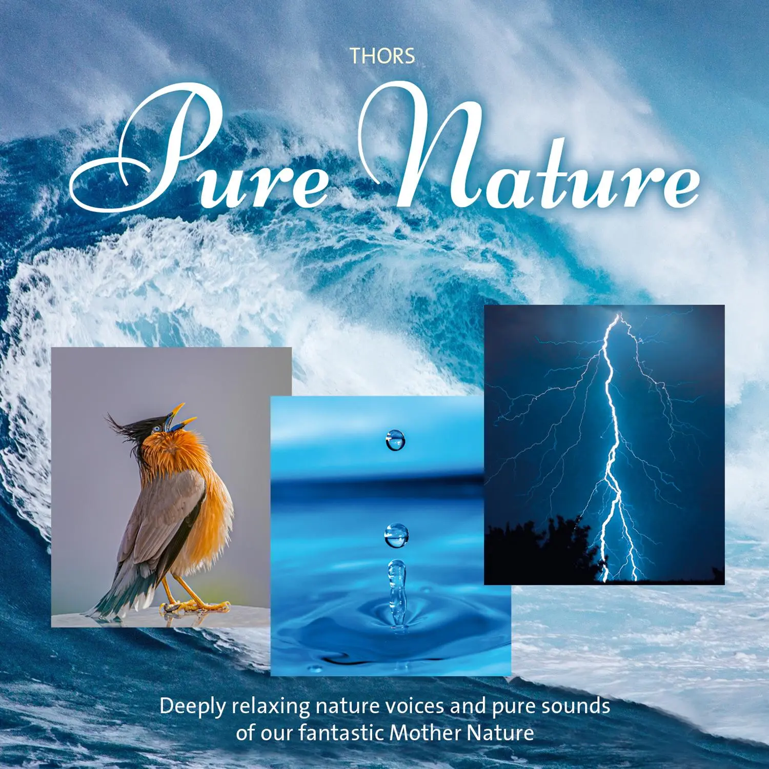 Cover: 9783957664914 | Pure Nature | Thors | Audio-CD | 4 S. | Englisch | 2023