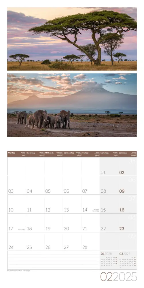 Bild: 9783838445014 | Colours of Nature Kalender 2025 - 30x30 | Ackermann Kunstverlag | 2025