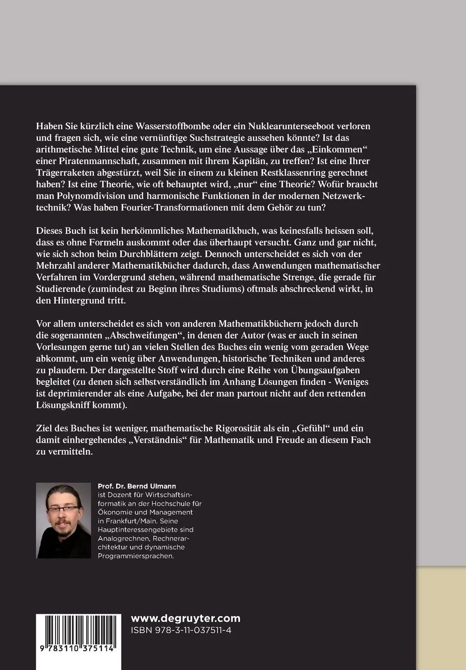 Rückseite: 9783110375114 | Mathematik | Eine Einführung für Praktiker | Bernd Ulmann | Buch | XII