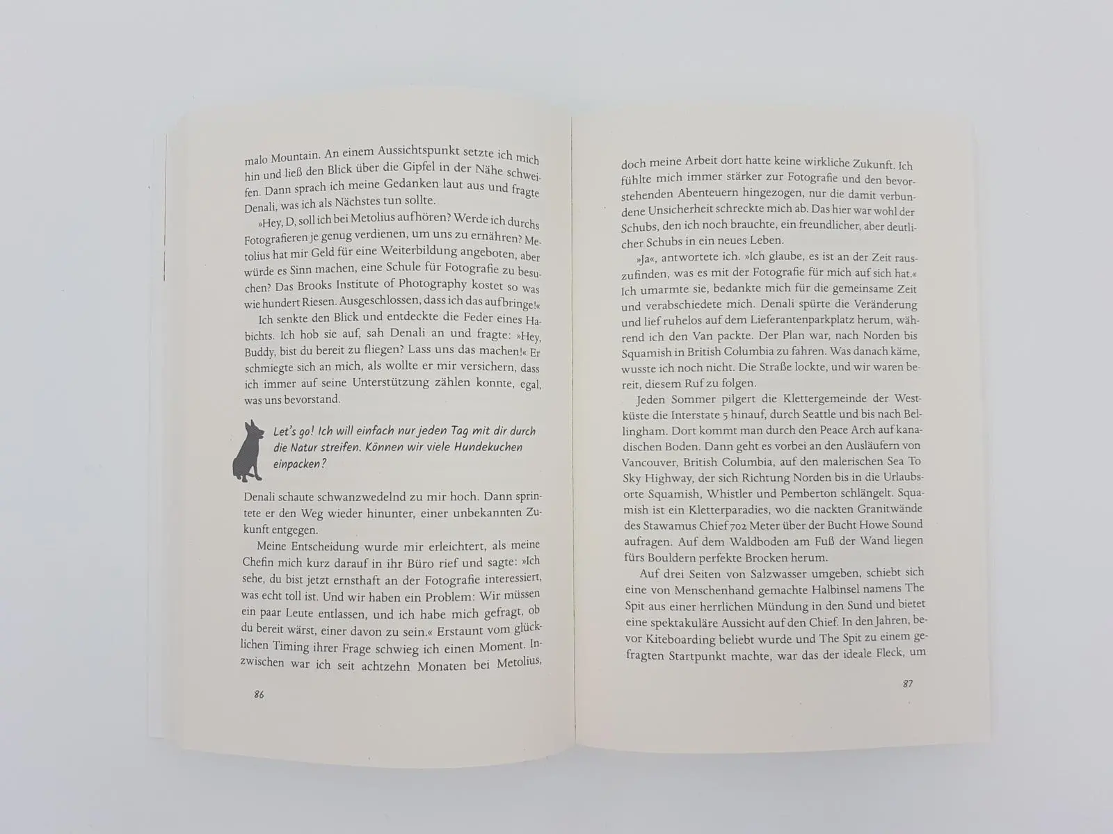 Bild: 9783890295114 | Denali | Ben Moon | Taschenbuch | 320 S. | Deutsch | 2021 | MALIK