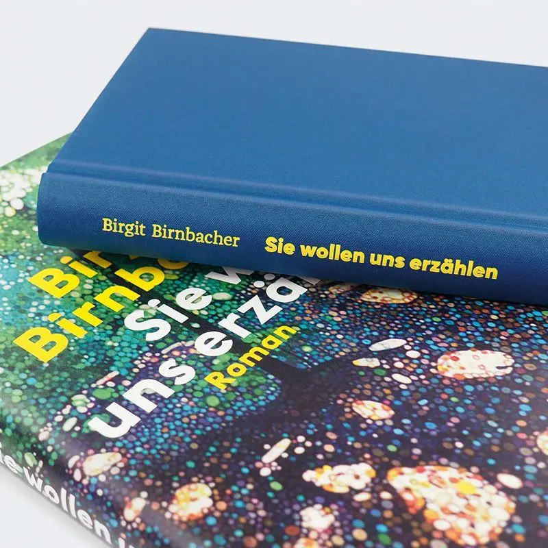 Bild: 9783552075214 | Sie wollen uns erzählen | Roman | Birgit Birnbacher | Buch | 224 S.