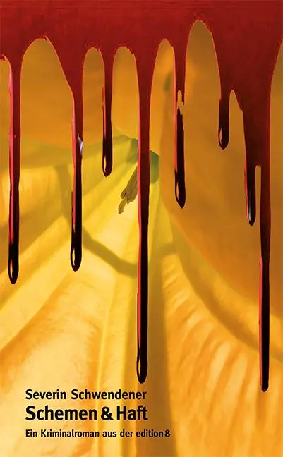 Cover: 9783859905214 | Schemen &amp; Haft | Kriminalroman | Severin Schwendener | Taschenbuch