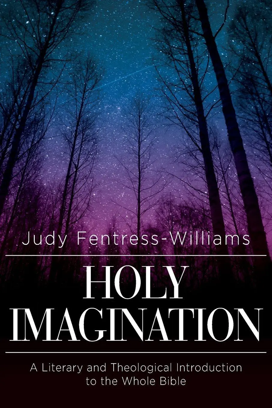 Cover: 9781426775314 | Holy Imagination | Judy Fentress-Williams | Taschenbuch | Englisch