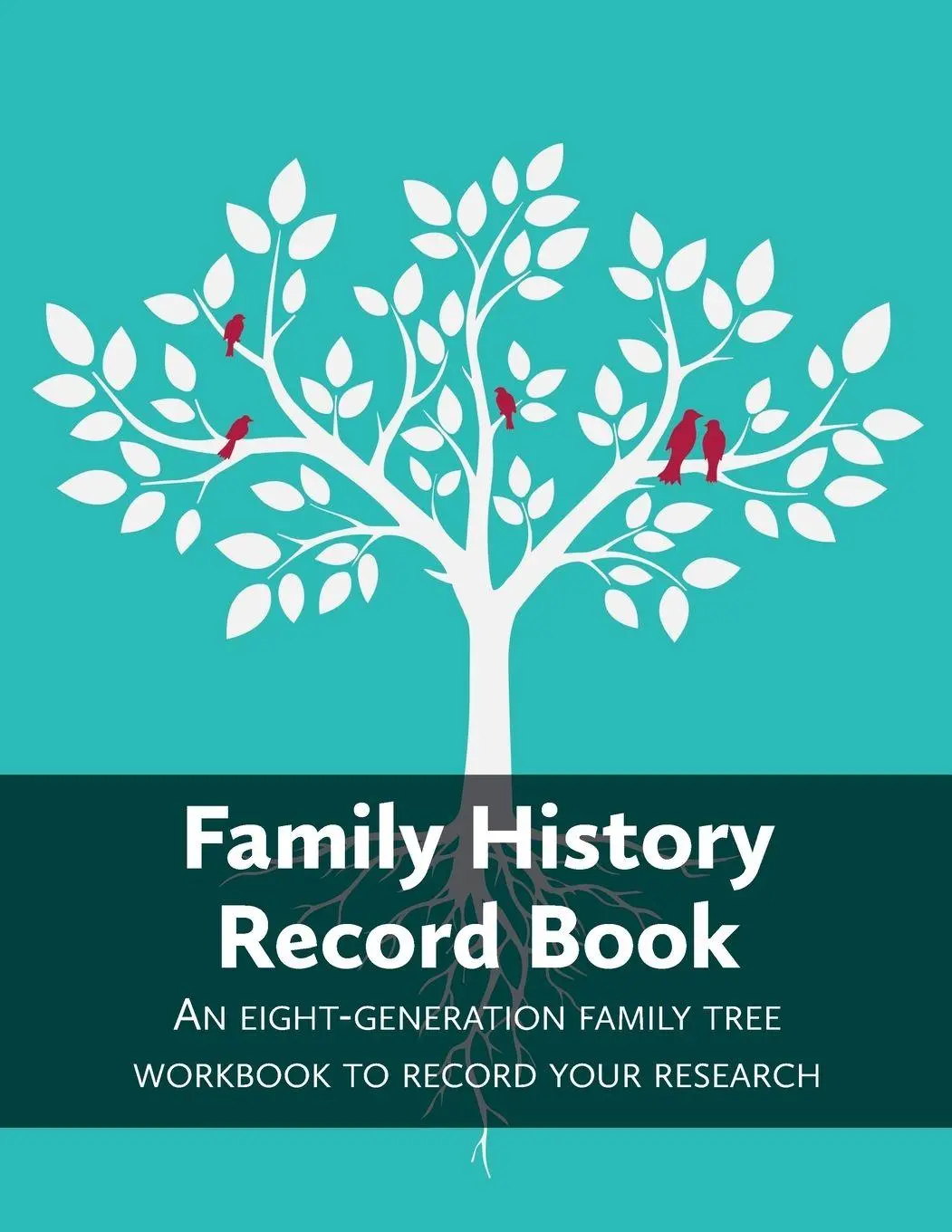 Cover: 9781905315314 | Family History Record Book | Heritage Hunter | Taschenbuch | Englisch