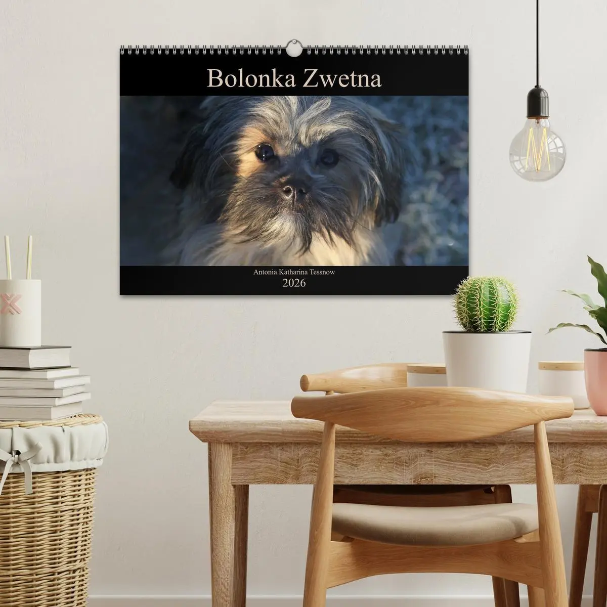 Bild: 9783457885314 | Bolonka Zwetna 2026 (Wandkalender 2026 DIN A3 quer), CALVENDO...