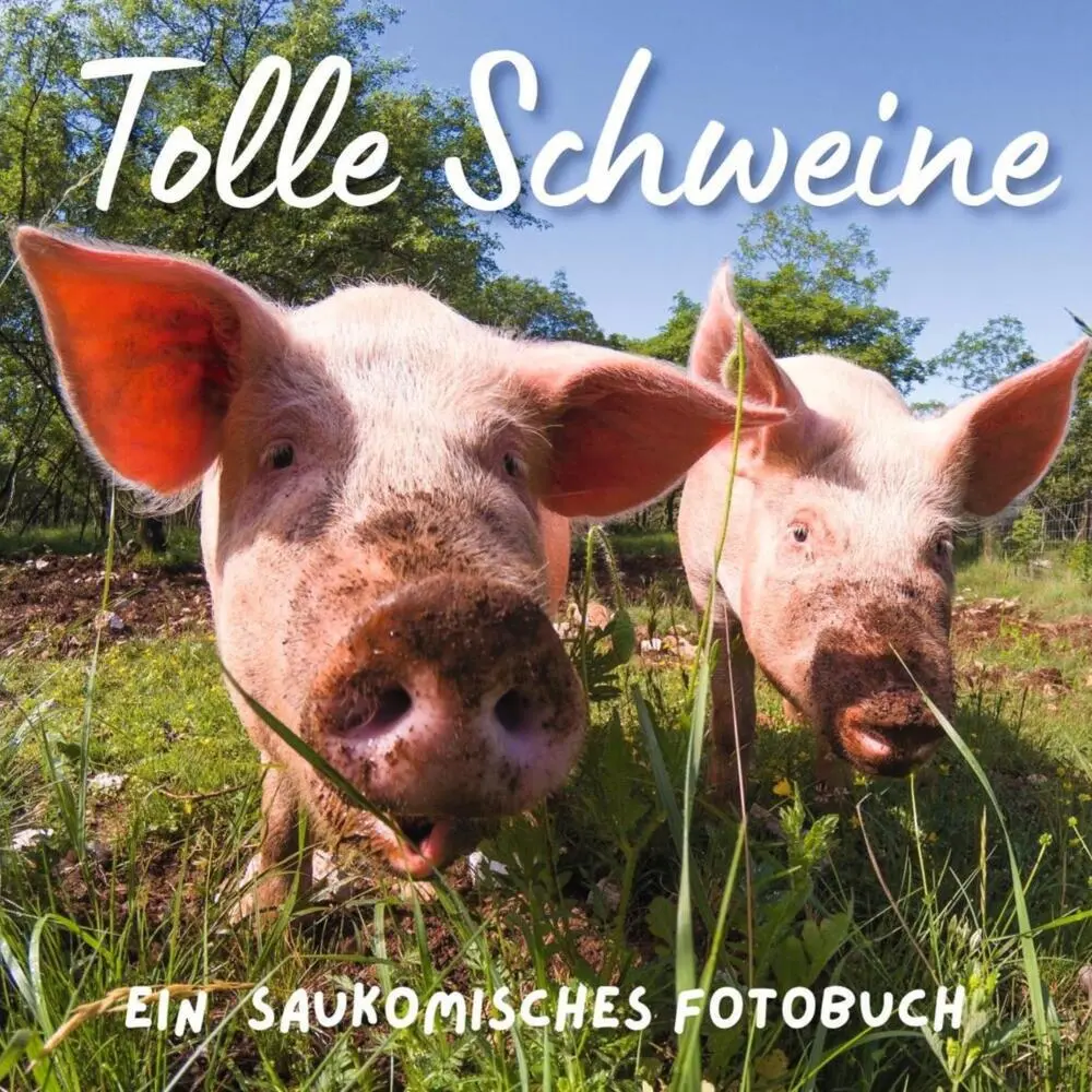 Cover: 9783750515314 | Tolle Schweine | Bibi Hübsch | Taschenbuch | 42 S. | Deutsch | 2022