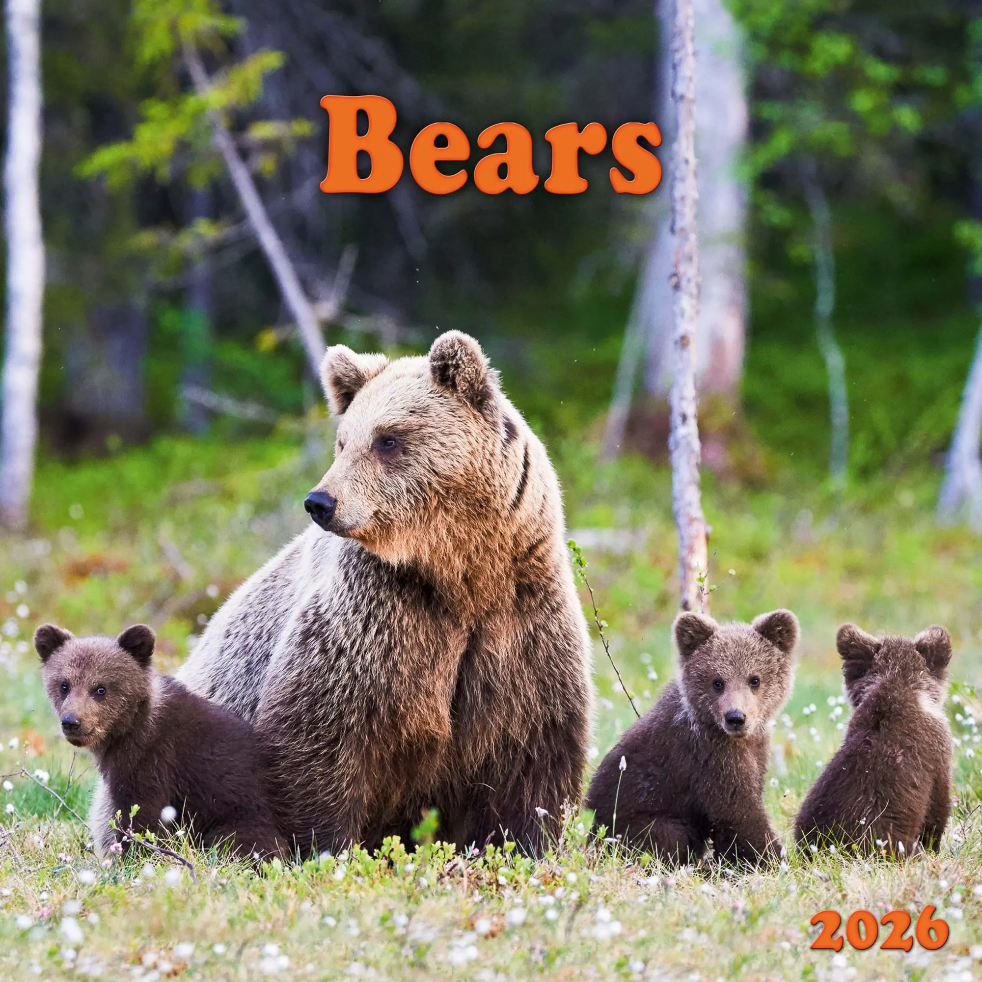 Cover: 9783959295314 | Bears 2026 | Kalender 2026 | Kalender | 28 S. | Englisch | 2026