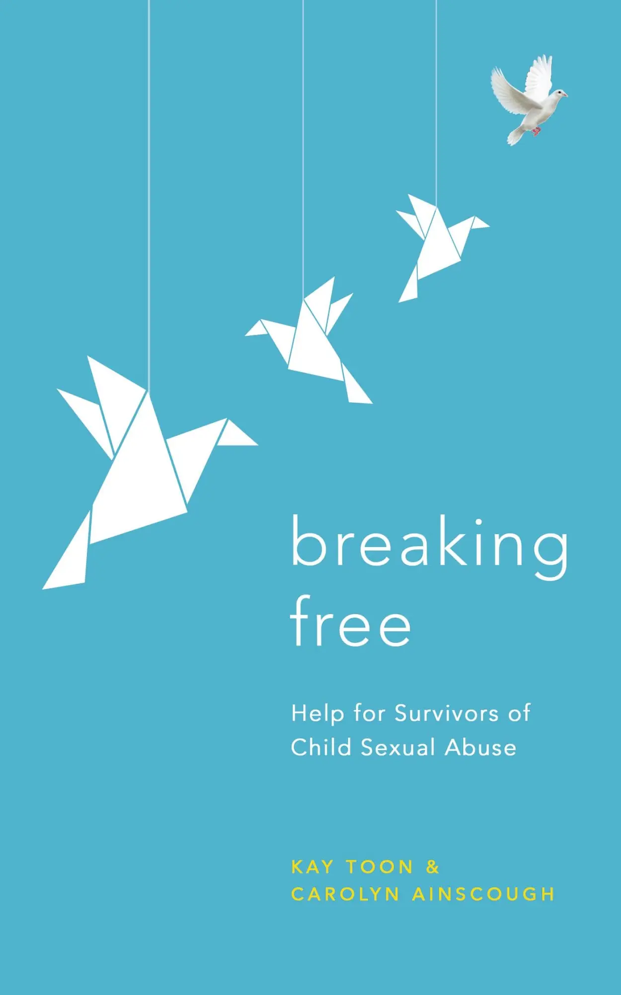 Cover: 9781399805414 | Breaking Free | Help For Survivors Of Child Sexual Abuse | Kay Toon