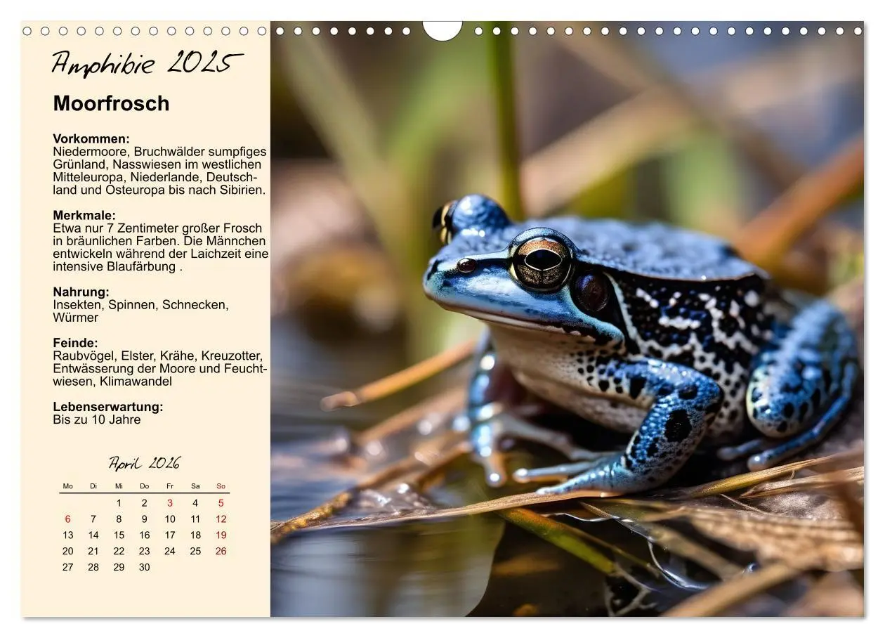 Bild: 9783457635414 | Wildtiere des Jahres (Wandkalender 2026 DIN A3 quer), CALVENDO...