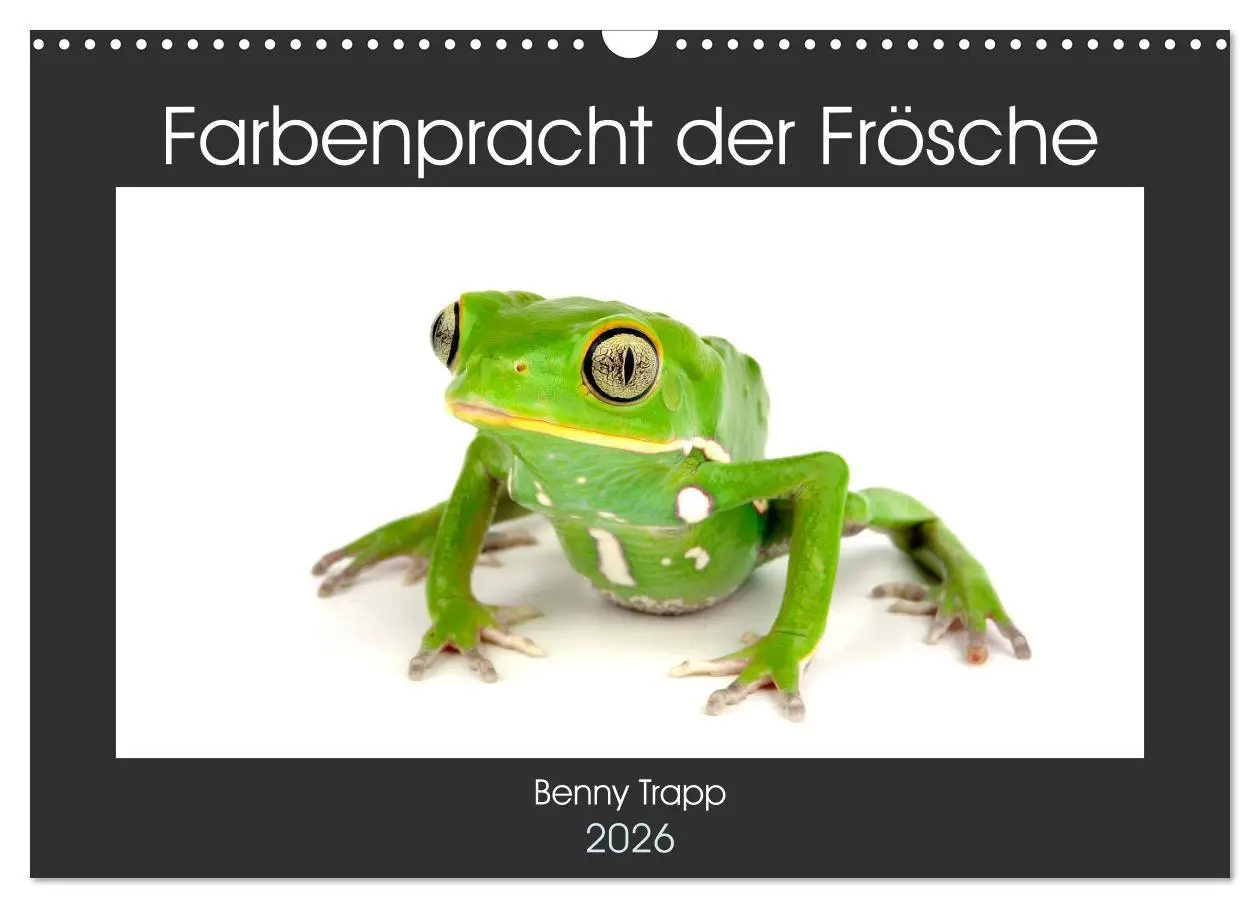 Cover: 9783457875414 | Farbenpracht der Frösche (Wandkalender 2026 DIN A3 quer), CALVENDO...