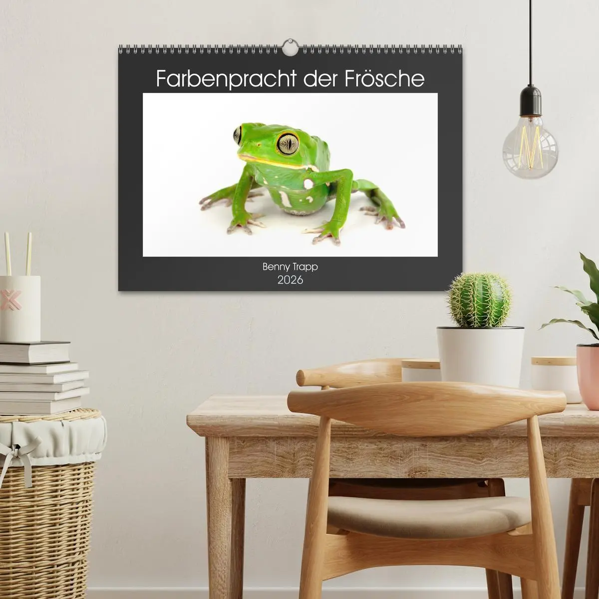 Bild: 9783457875414 | Farbenpracht der Frösche (Wandkalender 2026 DIN A3 quer), CALVENDO...