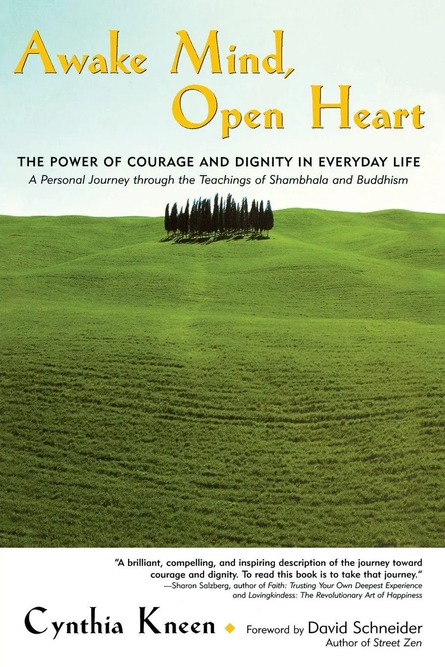 Cover: 9781569245514 | Awake Mind, Open Heart | Cynthia Kneen | Taschenbuch | Englisch | 2002