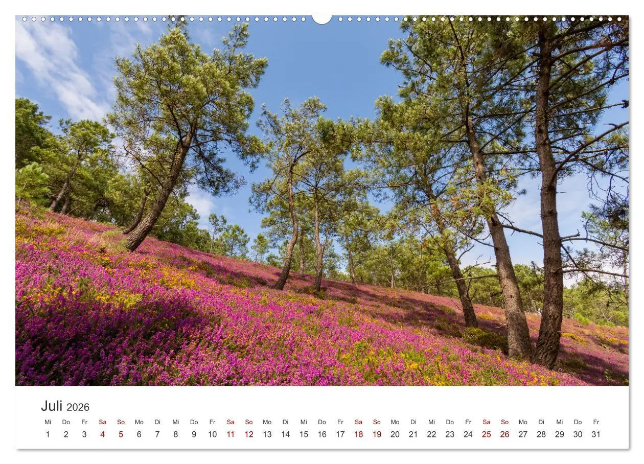 Bild: 9783457485514 | Die Bretagne - Traumpfade (Wandkalender 2026 DIN A2 quer), CALVENDO...