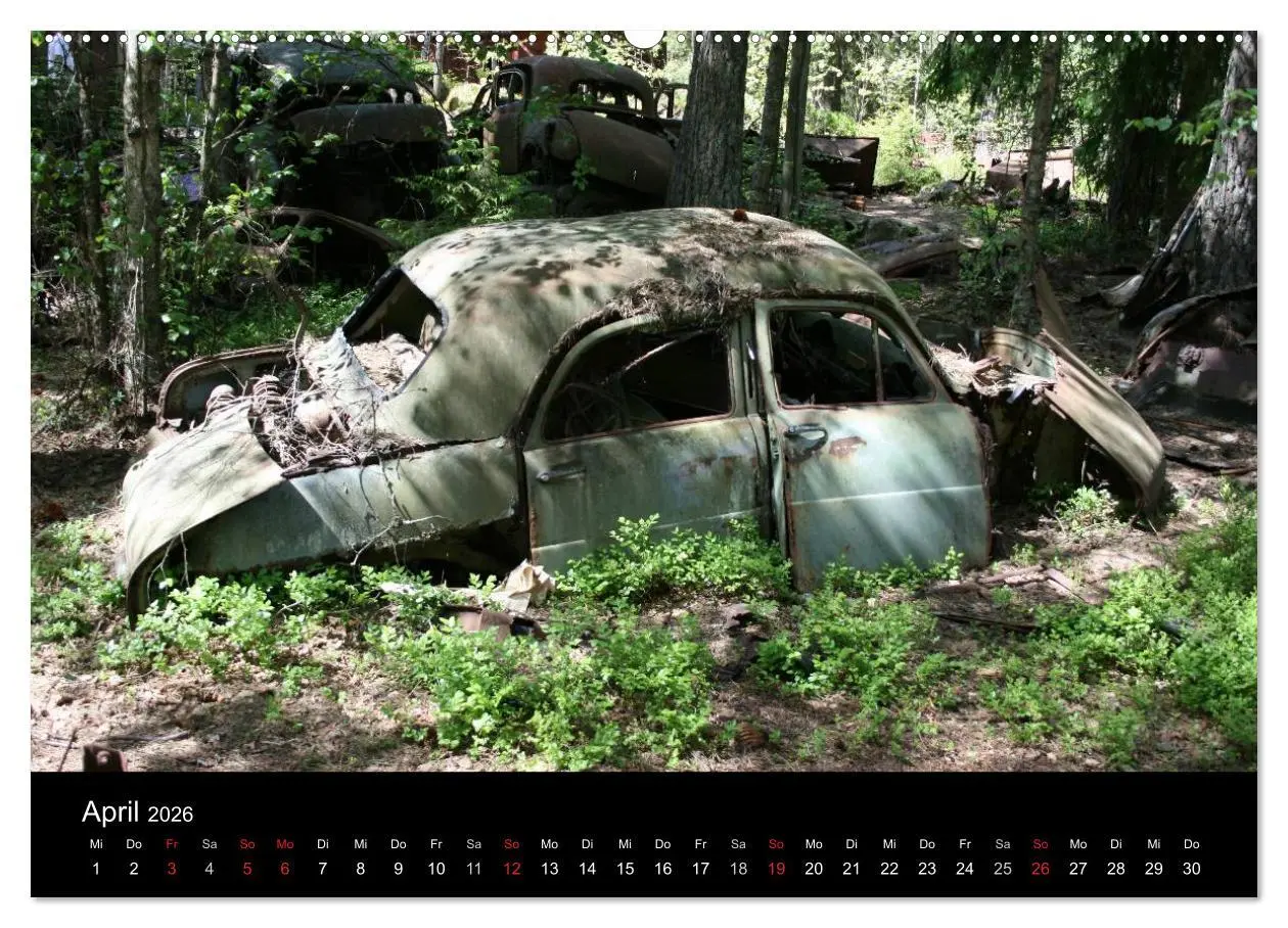 Bild: 9783516195514 | Schrottautos im Kyrkö Mosse (Wandkalender 2026 DIN A2 quer),...