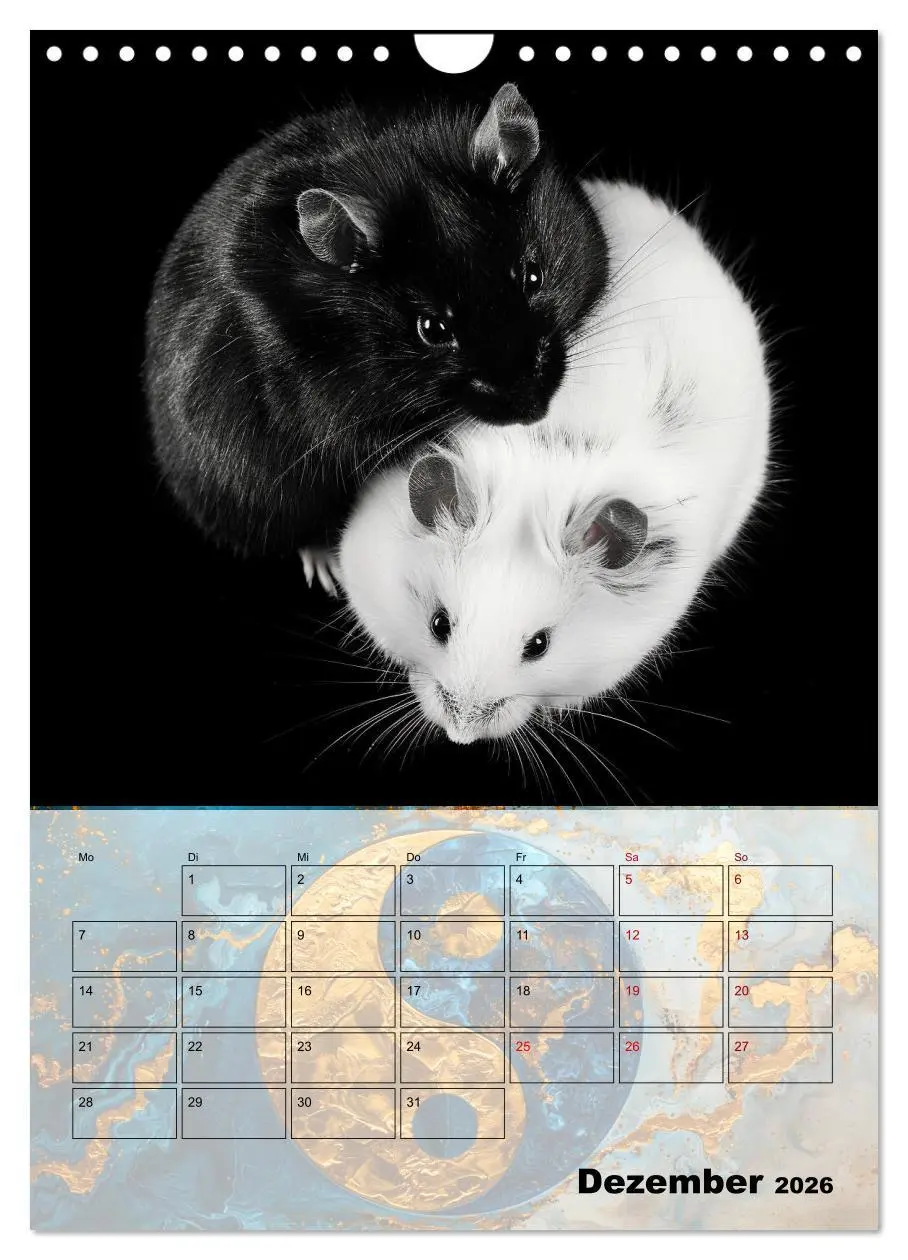 Bild: 9783516265514 | Sei das Yin zu meinem Yang (Wandkalender 2026 DIN A4 hoch),...