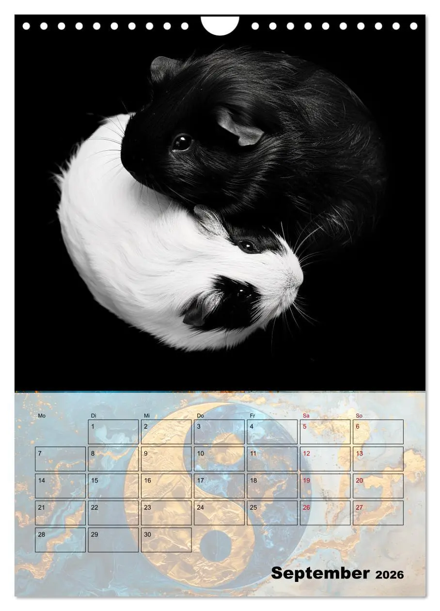 Bild: 9783516265514 | Sei das Yin zu meinem Yang (Wandkalender 2026 DIN A4 hoch),...