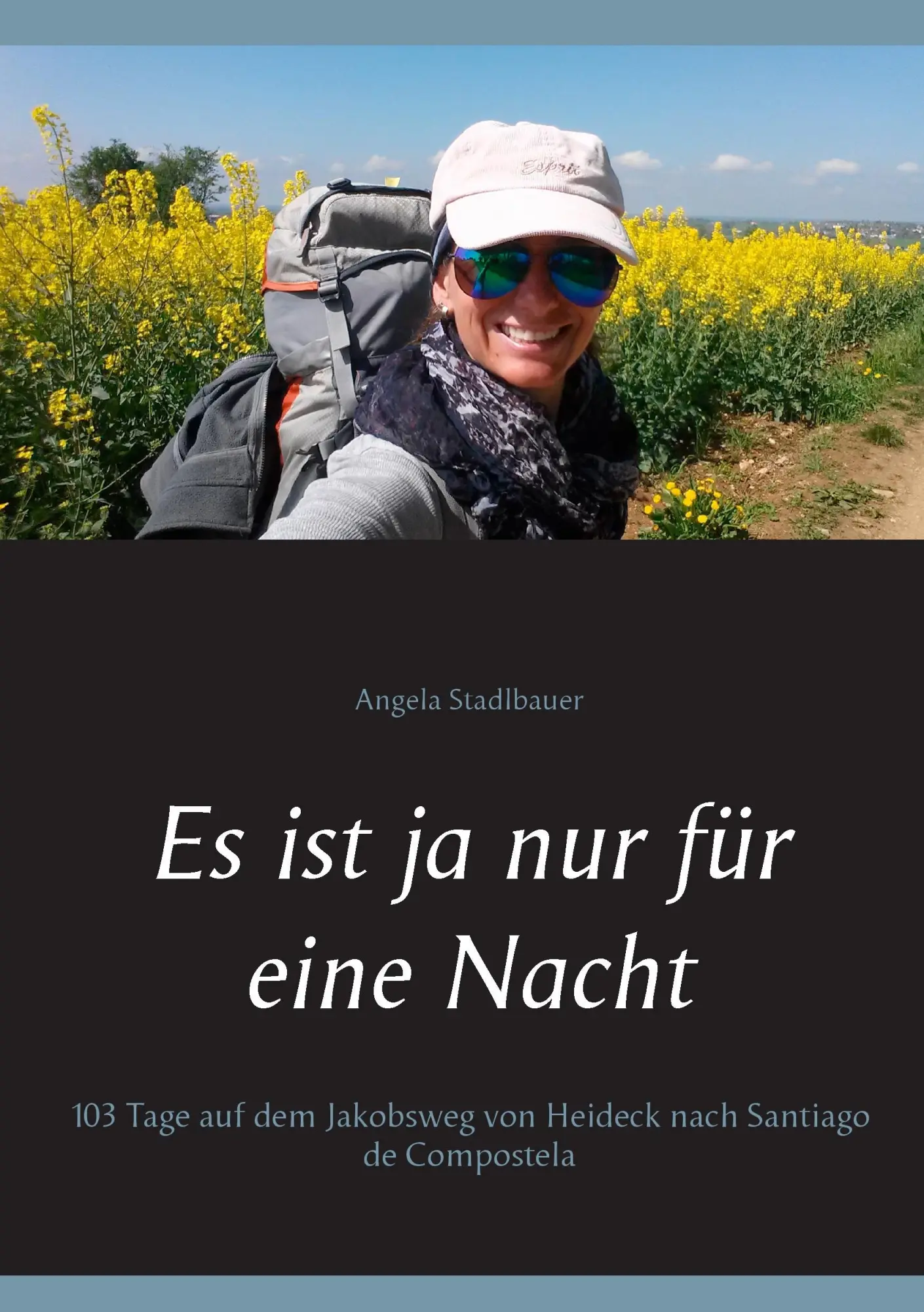 Cover: 9783743115514 | Es ist ja nur für eine Nacht | Angela Stadlbauer | Taschenbuch | 2017