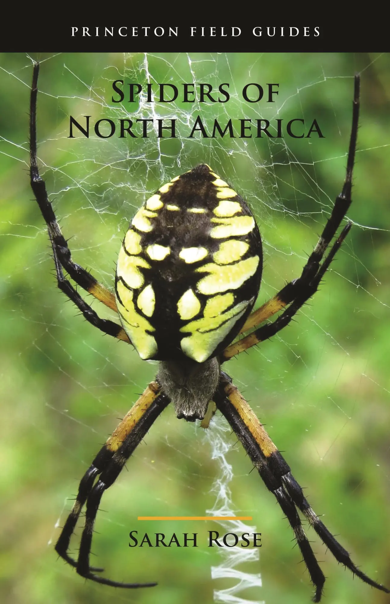 Cover: 9780691175614 | Spiders of North America | Sarah Rose | Taschenbuch | Englisch | 2022 Cover: 9780691175614 | Spiders of North America | Sarah Rose | Taschenbuch | Englisch | 2022