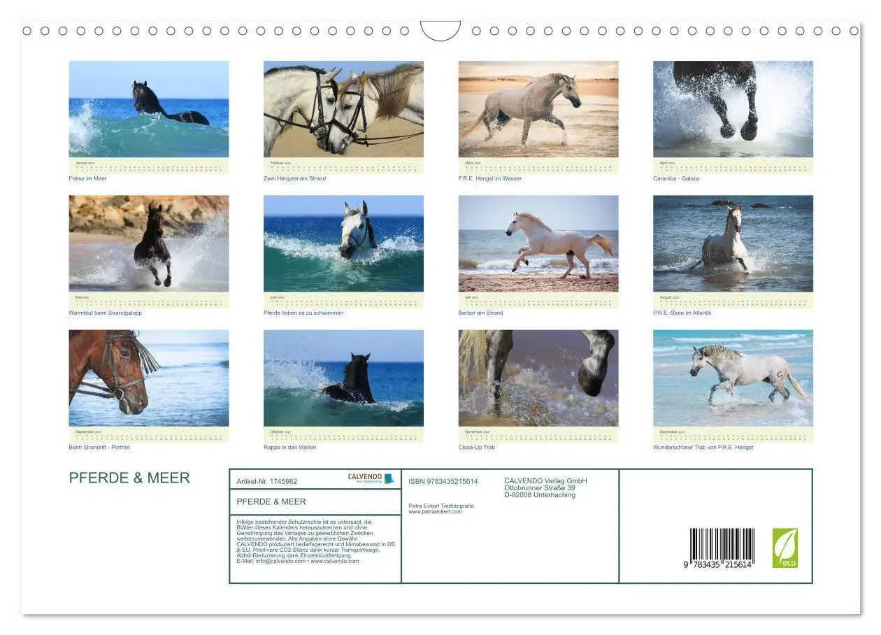 Bild: 9783435215614 | PFERDE &amp; MEER (Wandkalender 2025 DIN A3 quer), CALVENDO Monatskalender