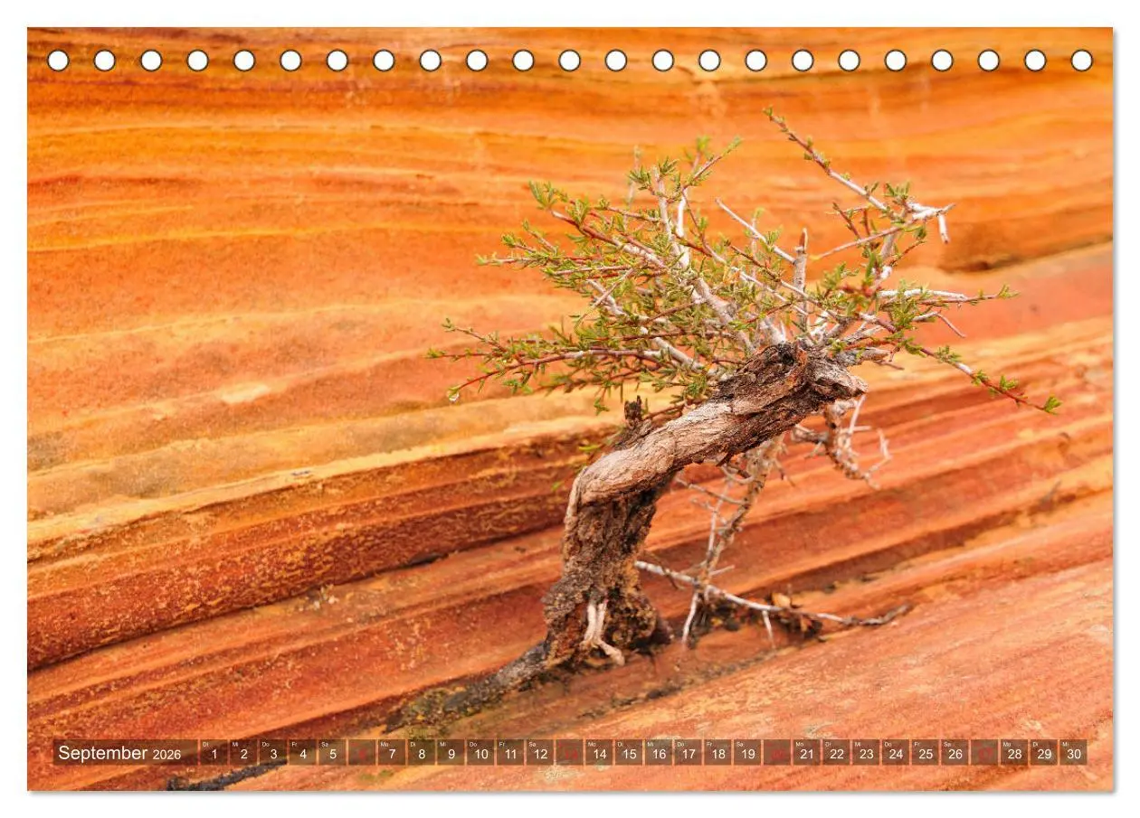 Bild: 9783457925614 | USA Traumziel Südwest (Tischkalender 2026 DIN A5 quer), CALVENDO...